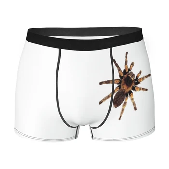 Spider Naljakas Ronida Tarantel Suur Spider Väljavalitu Aluspüksid Homme Aluspüksid Aluspesu Mees Mugavad Püksid Boxer Püksikud